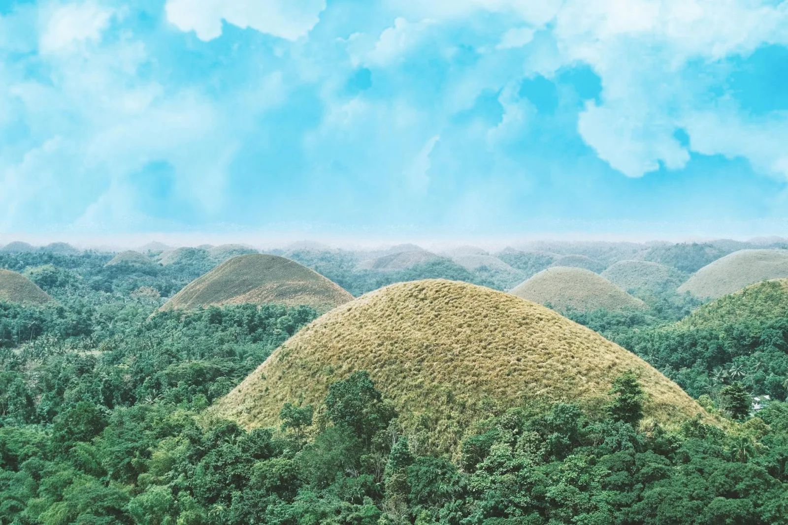 Budget journée Bohol