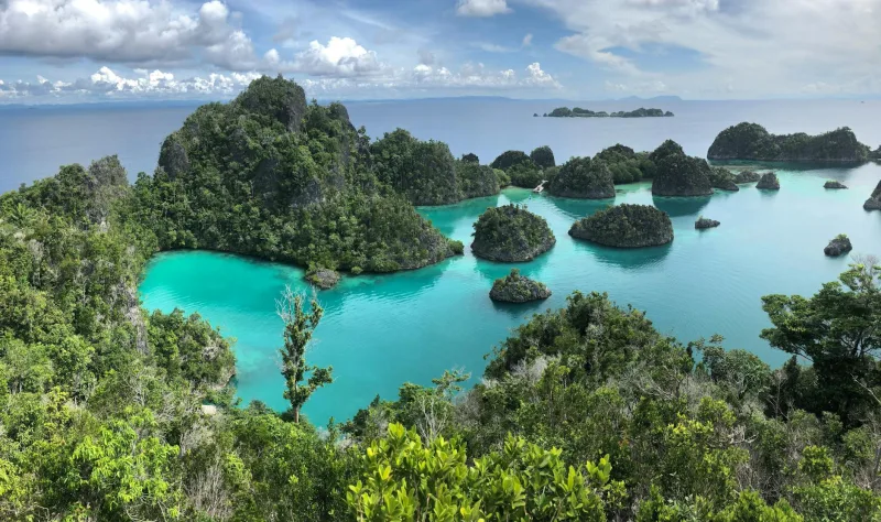 Raja Ampat