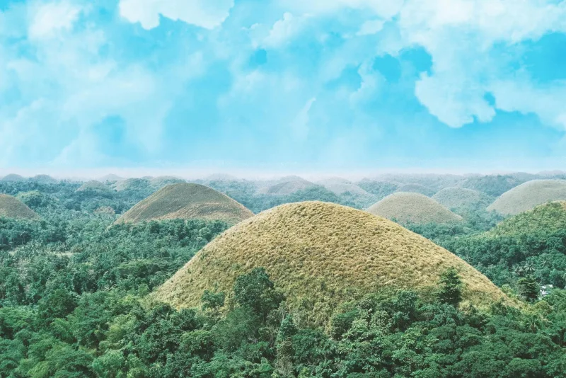 Bohol