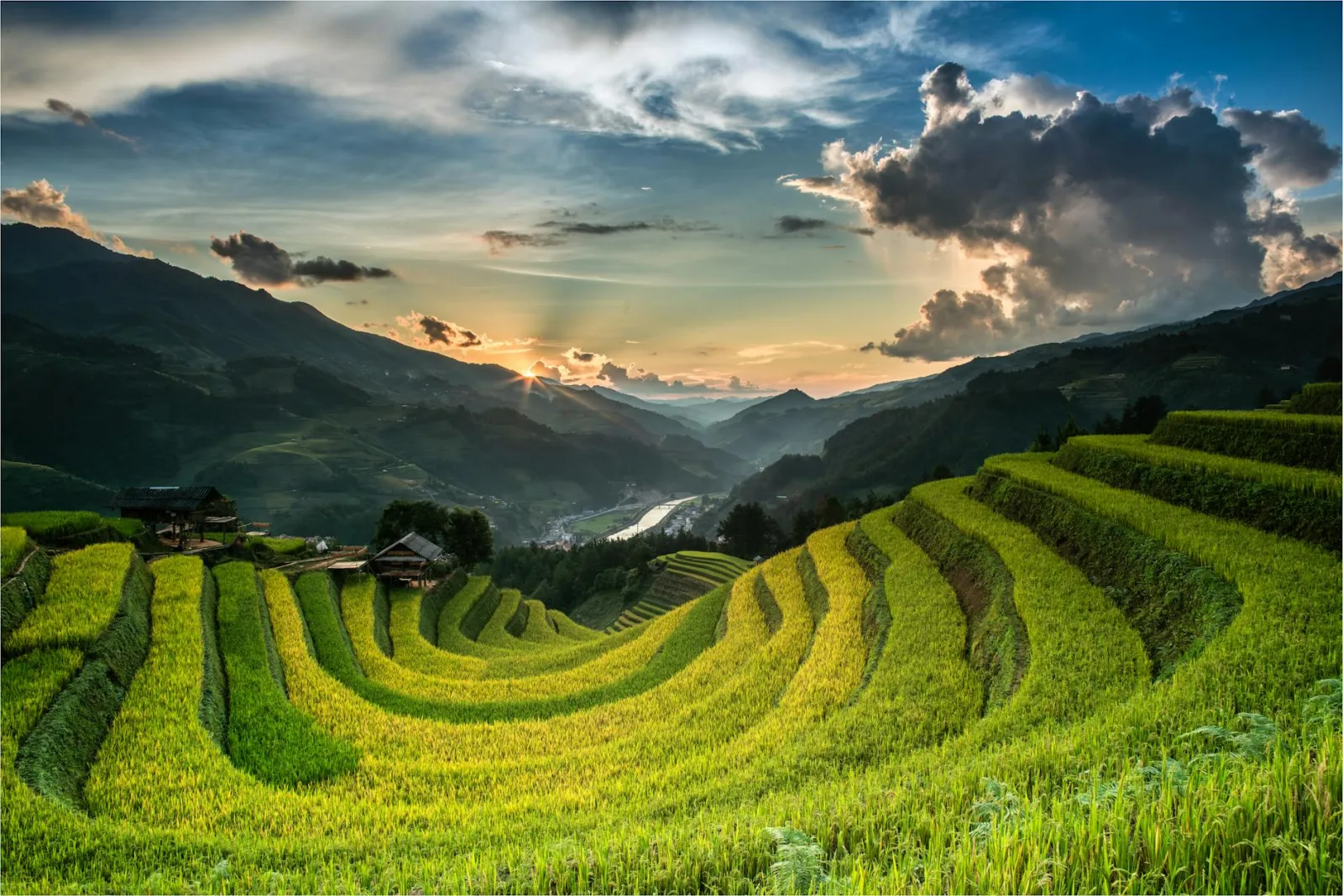 Rizières en terrasses dans le nord Vietnam au coucher du soleil